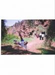 Capoeira � luta � dan�a  Capoeira � arte � magia